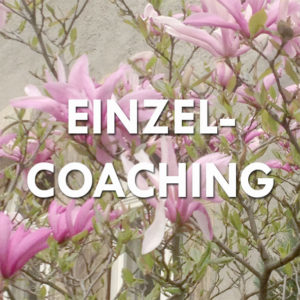 Einzelcoaching - Sandra Wetterich