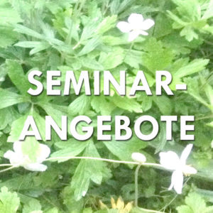Seminarangebote - Sandra Wetterich